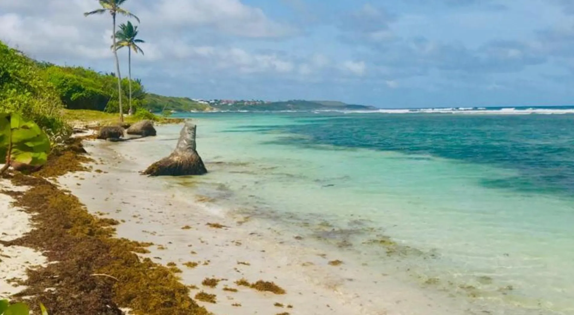 Magnifique Appartement Fleurs Caraibes - 6 Personnes En Residence Avec Piscine Privee - Sainte Anne Apartment Sainte-Anne (Grande-Terre)