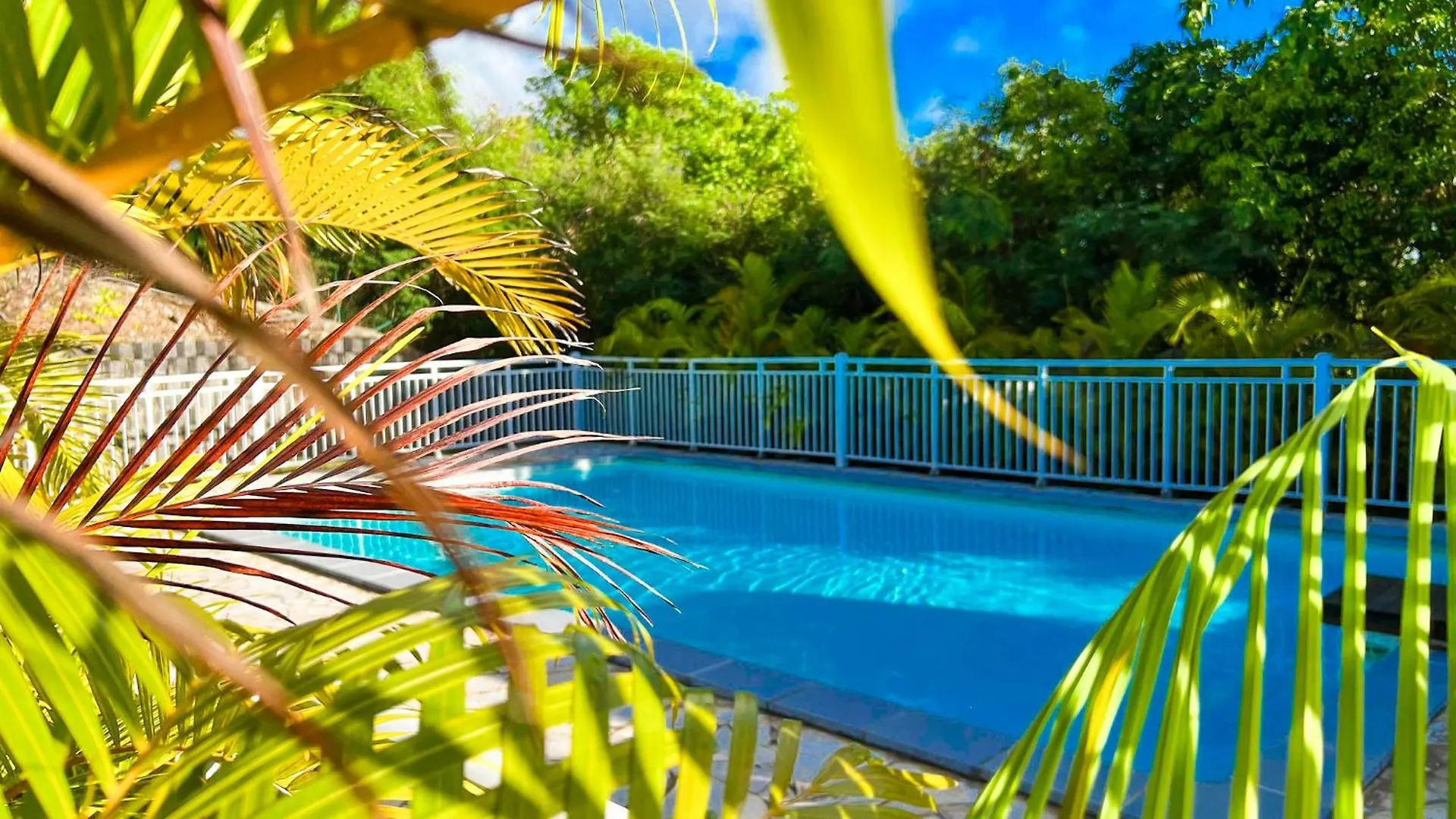 Magnifique Appartement Fleurs Caraibes - 6 Personnes En Residence Avec Piscine Privee - Sainte Anne contacts